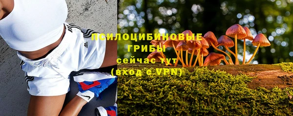 прущий лед Липки