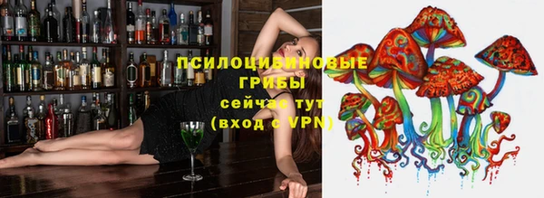 прущий лед Липки